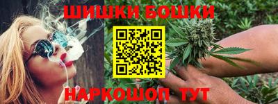 индика Гай