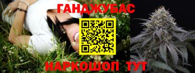индика Гай