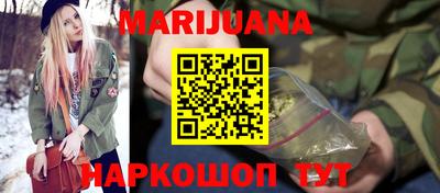 индика Гай