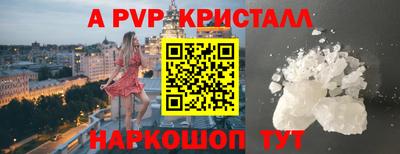 индика Гай