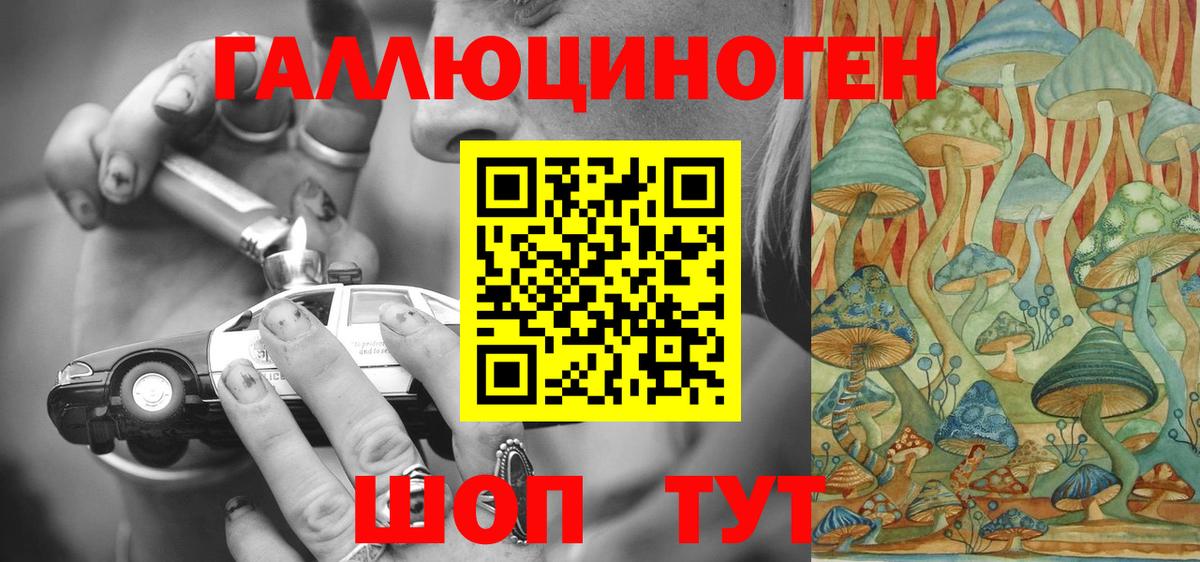Псилоцибиновые грибы Psilocybe Волоколамск